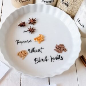 Transparent - English